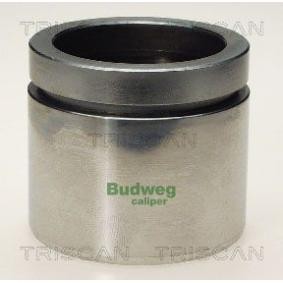 Kolben, Bremssattel 8170 236019 von TRISCAN günstig für 32,15 € online kaufen