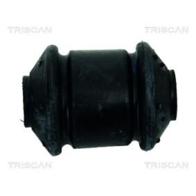 Compre Suspensão, braço oscilante da TRISCAN 8500 24809 a um preço baixo por 7,12 €