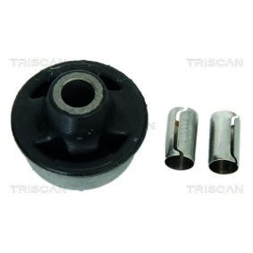 Compre Suspensão, braço oscilante da TRISCAN 8500 24811 a um preço baixo por 15,56 €