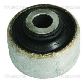 Compre Suspensão, braço oscilante da TRISCAN 8500 28827 a um preço baixo por 20,11 €