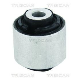 Acquista Supporto braccio oscillante da TRISCAN 8500 29885 a buon mercato per soli 9,11 €