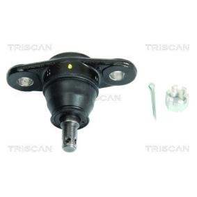 Traggelenk 8500 43532 von TRISCAN günstig für 24,22 € online kaufen