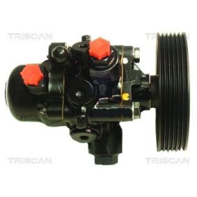 Achetez des Pompe de direction assistée de chez TRISCAN en ligne pour XM I Break (Y3) à prix modérés
