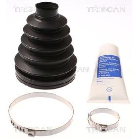 Acquista Kit cuffia, semiasse da TRISCAN 8540 13812 a buon mercato per soli 17,53 €