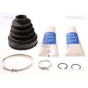 Acquista Kit cuffia, semiasse da TRISCAN 8540 13906 a buon mercato per soli 18,17 €