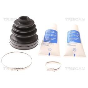 Acquista Kit cuffia, semiasse da TRISCAN 8540 13908 a buon mercato per soli 5,28 €