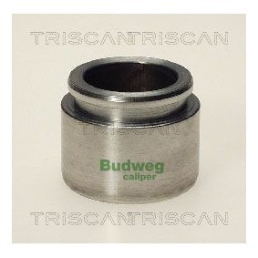 Compre Interruptor de temperatura, ventilador do radiador da TRISCAN 8625 17086 a um preço baixo por 10,27 €