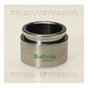 Temperaturschalter, Kühlerlüfter 8625 58090 von TRISCAN günstig für 25,60 € online kaufen