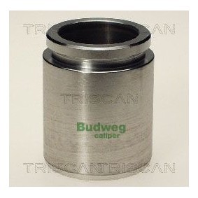 Compre Interruptor de temperatura, ventilador do radiador da TRISCAN 8625 60095 a um preço baixo por 12,03 €