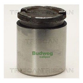 Temperaturschalter, Kühlerlüfter 8625 98100 von TRISCAN günstig für 17,60 € online kaufen