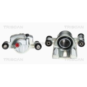 Umlenkrolle Keilrippenriemen von TRISCAN 8641 112007
