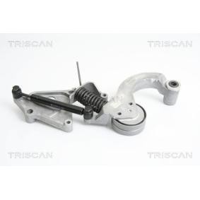 Spannarm, Keilrippenriemen für MINI von TRISCAN