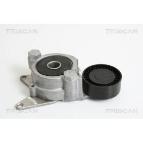 Spannarm, Keilrippenriemen 8641 133003 von TRISCAN günstig für 210,67 € online kaufen
