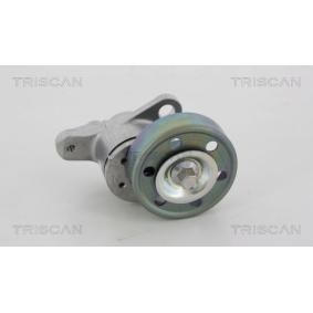 Spannarm, Keilrippenriemen 8641 133004 von TRISCAN günstig für 108,77 € online kaufen