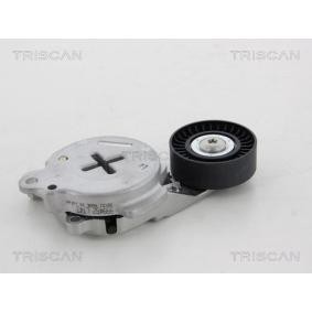 Spannarm, Keilrippenriemen von TRISCAN 8641 133007
