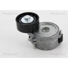 Spannrolle, Keilrippenriemen 8641 282017 von TRISCAN günstig für 150,61 € online kaufen