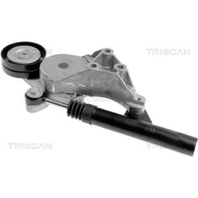 Spannarm, Keilrippenriemen 8641 293005 von TRISCAN günstig für 163,14 € online kaufen
