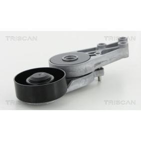 Spannarm, Keilrippenriemen 8641 293009 von TRISCAN günstig für 71,33 € online kaufen