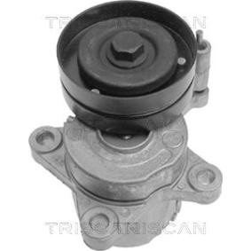 Spannarm, Keilrippenriemen 8641 293010 von TRISCAN günstig für 122,76 € online kaufen