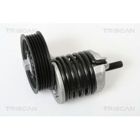 Spannarm, Keilrippenriemen 8641 293011 von TRISCAN günstig für 112,51 € online kaufen