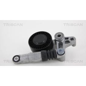 Spannarm, Keilrippenriemen 8641 293039 von TRISCAN günstig für 122,49 € online kaufen