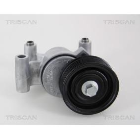Spannarm, Keilrippenriemen 8641 503002 von TRISCAN günstig für 134,08 € online kaufen