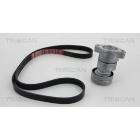 Keilrippenriemensatz 8642 24004 von TRISCAN günstig für 121,51 € online kaufen