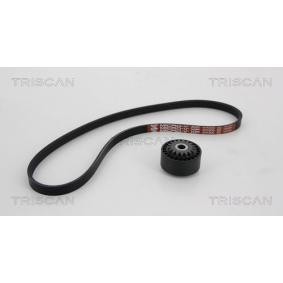 Compre Jogo de correias trapezoidais estriadas da TRISCAN 8642 25005 a um preço baixo por 221,75 €