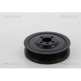 Compre Polia, cambota da TRISCAN 8643 29001 a um preço baixo por 113,50 €