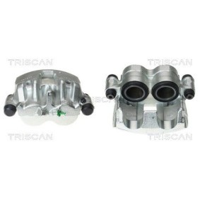 Spannrolle, Zahnriemen 8646 18104 von TRISCAN günstig für 24,11 € online kaufen