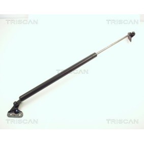 Heckklappendämpfer 8710 10201 von TRISCAN günstig für 24,21 € online kaufen