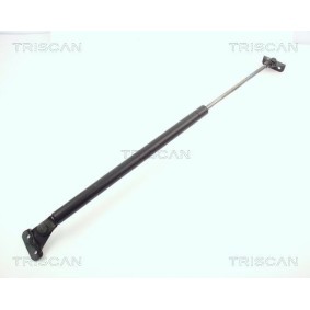 Heckklappendämpfer 8710 10202 von TRISCAN günstig für 23,63 € online kaufen