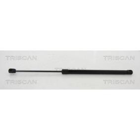 Heckklappendämpfer 8710 10211 von TRISCAN günstig für 47,92 € online kaufen