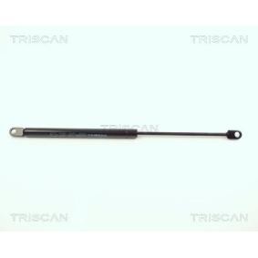Motorhaubendämpfer 8710 11101 von TRISCAN günstig für 25,18 € online kaufen