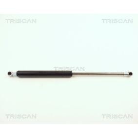 Motorhaubendämpfer 8710 11106 von TRISCAN günstig für 27,02 € online kaufen