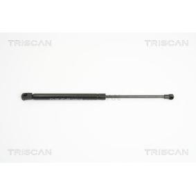 Motorhaubendämpfer 8710 11116 von TRISCAN günstig für 34,15 € online kaufen