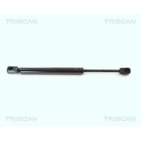 Heckklappendämpfer 8710 11201 von TRISCAN günstig für 49,76 € online kaufen