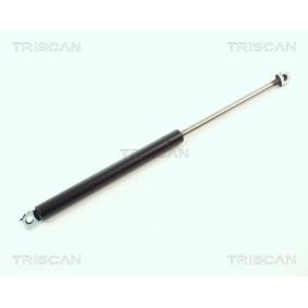 Heckklappendämpfer 8710 11202 von TRISCAN günstig für 27,78 € online kaufen