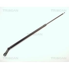 Heckklappendämpfer 8710 11206 von TRISCAN günstig für 23,04 € online kaufen
