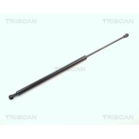 Heckklappendämpfer 8710 11218 von TRISCAN günstig für 29,58 € online kaufen
