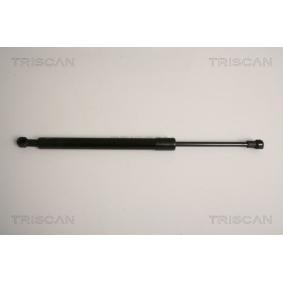 Heckklappendämpfer 8710 11231 von TRISCAN günstig für 18,41 € online kaufen