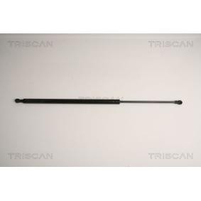 Heckklappendämpfer 8710 11235 von TRISCAN günstig für 18,63 € online kaufen