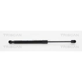 Heckklappendämpfer 8710 11293 von TRISCAN günstig für 14,06 € online kaufen