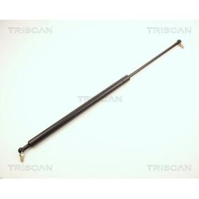 Heckklappendämpfer für TOYOTA von TRISCAN
