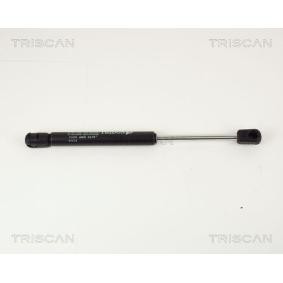 Heckklappendämpfer für LANCIA von TRISCAN