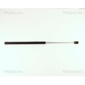 Heckklappendämpfer für LANCIA von TRISCAN