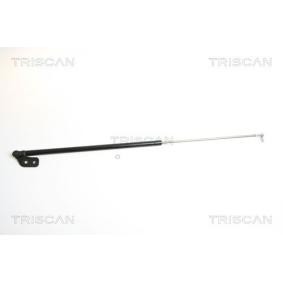 Comprar Amortiguador de maletero de TRISCAN 8710 18209 a bajo precio de 28,04 €
