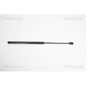 Heckklappendämpfer 8710 18219 von TRISCAN günstig für 18,50 € online kaufen