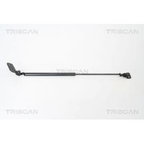 Heckklappendämpfer 8710 18221 von TRISCAN günstig für 26,29 € online kaufen