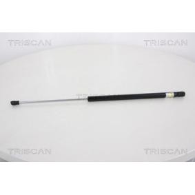 Heckklappendämpfer 8710 18228 von TRISCAN günstig für 31,74 € online kaufen